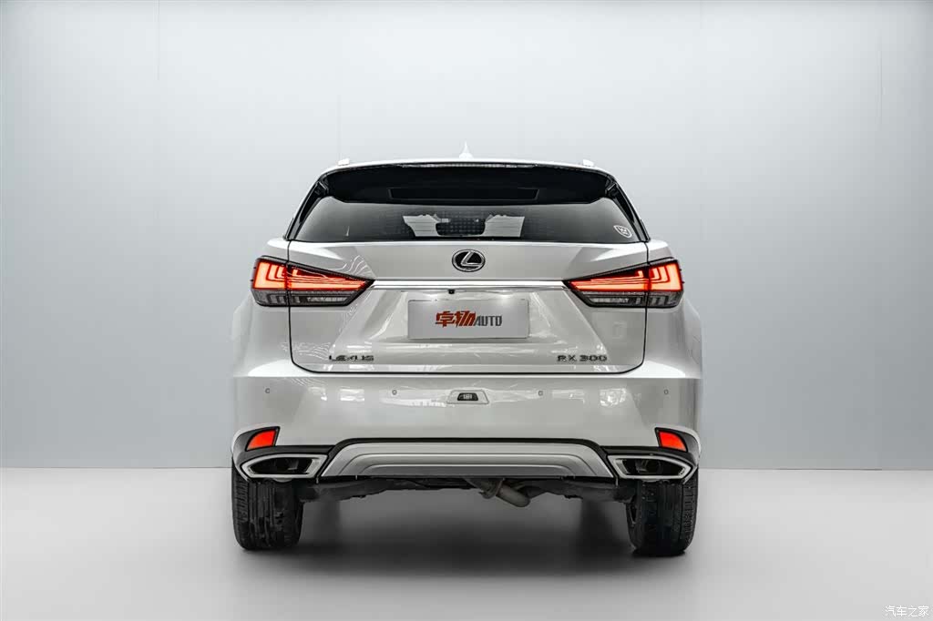 Lexus RX, 2021 6