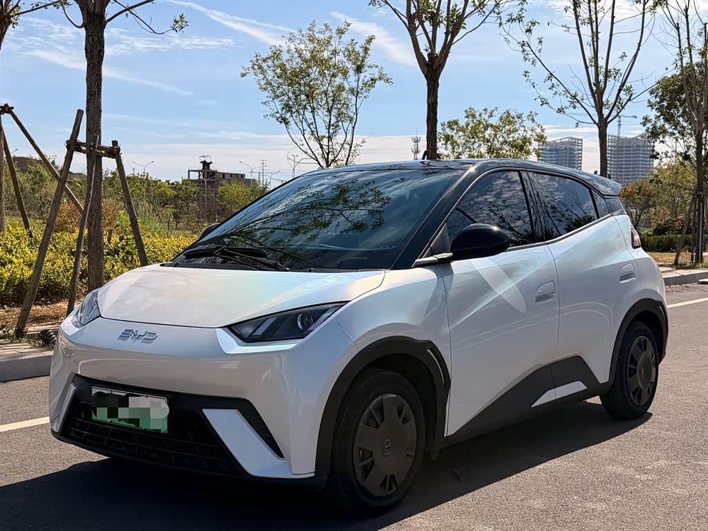 BYD Seagull
