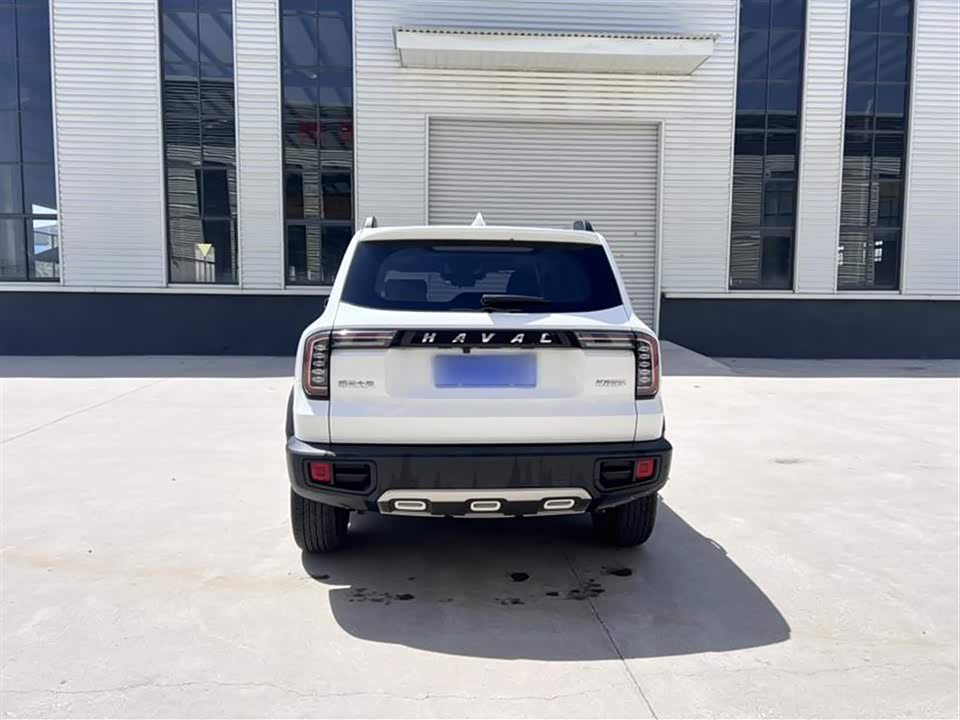 Haval Big dog