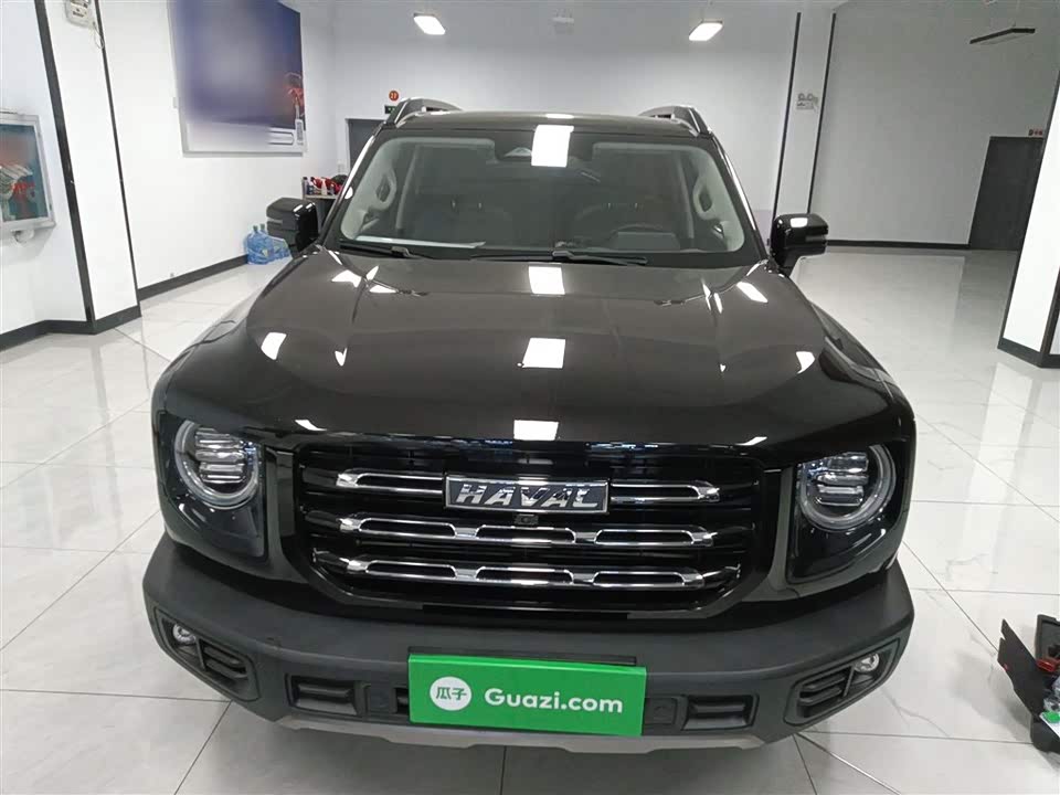 Haval Big dog