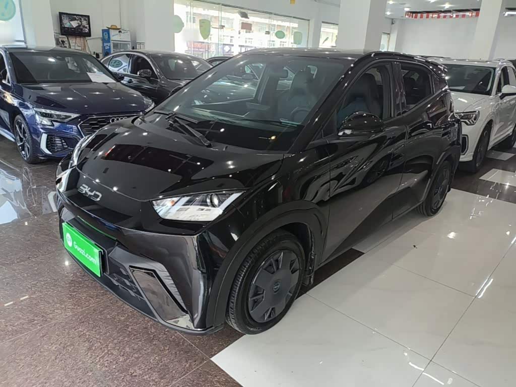 BYD Seagull