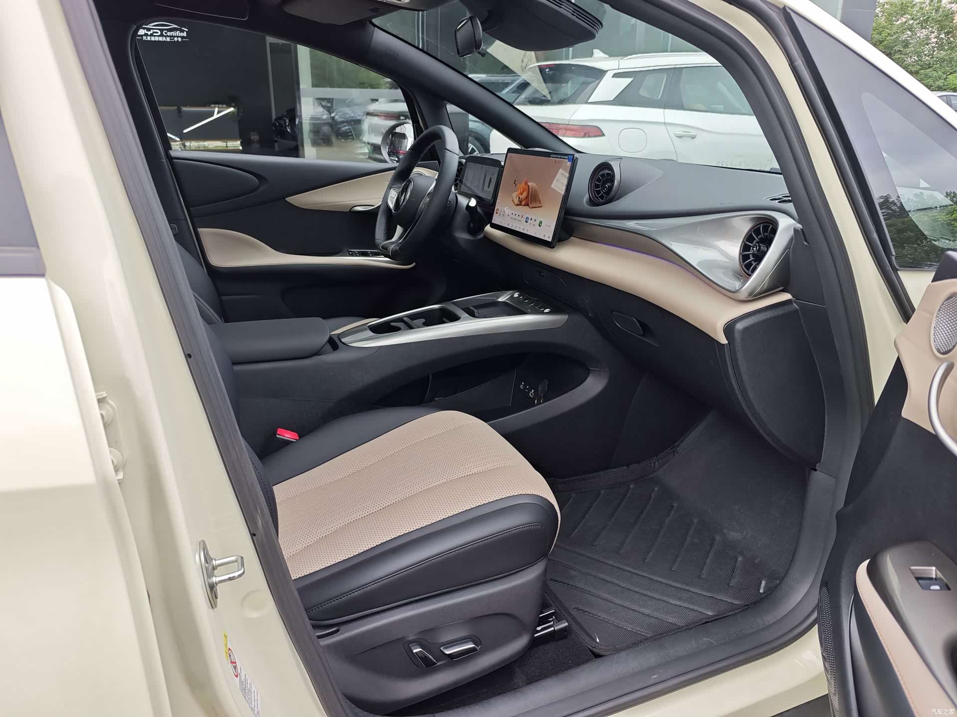 BYD Dolphin, 2025 9