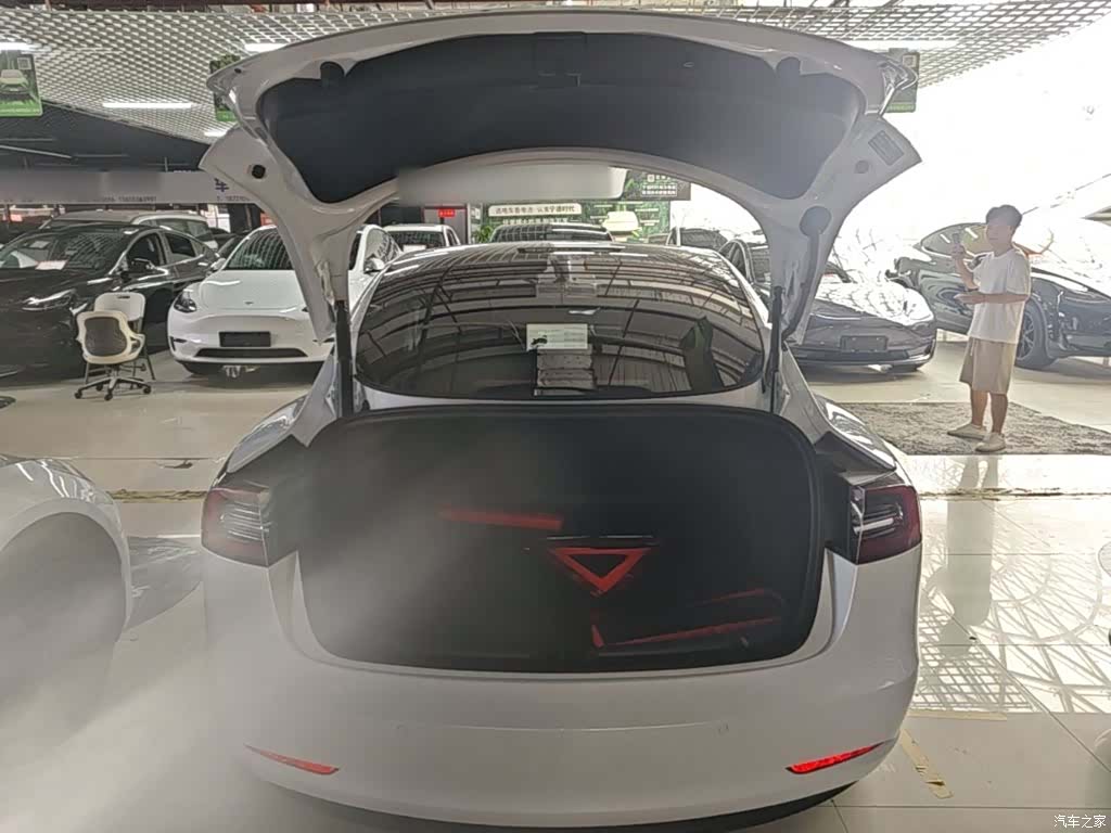 Tesla Model 3, 2021 19