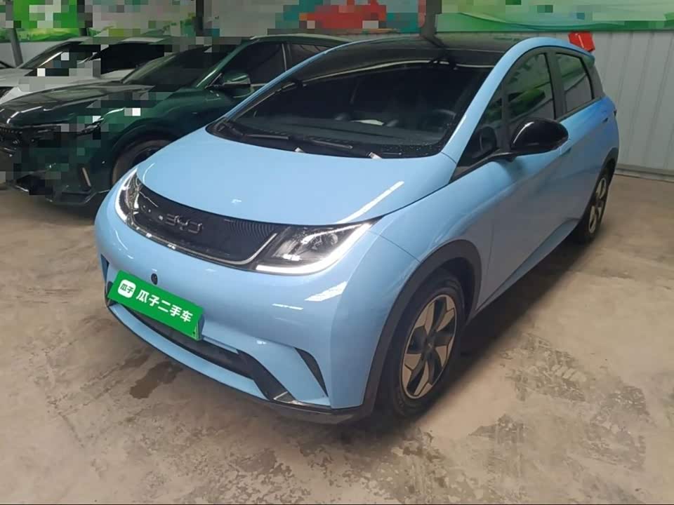 BYD dolphin