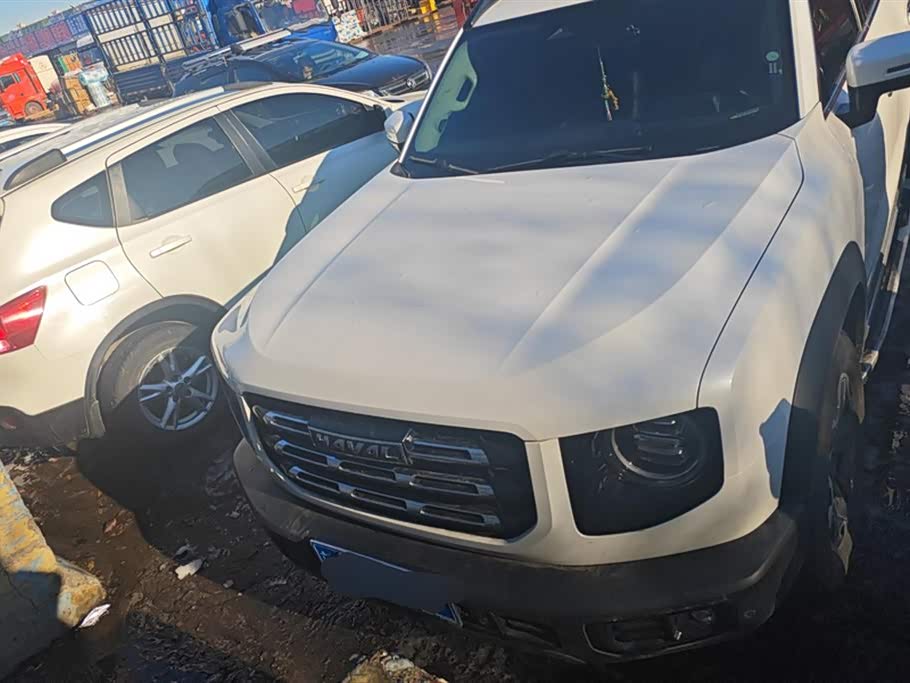 Haval Big dog