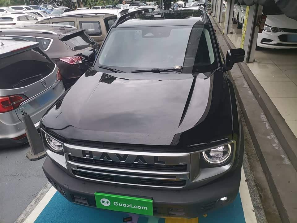 Haval Big dog