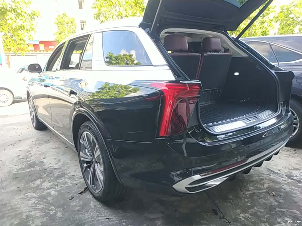 Hongqi E-HS9, 2022 все фото