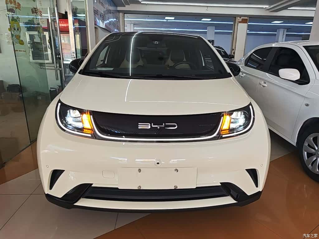 BYD Dolphin, 2023 3