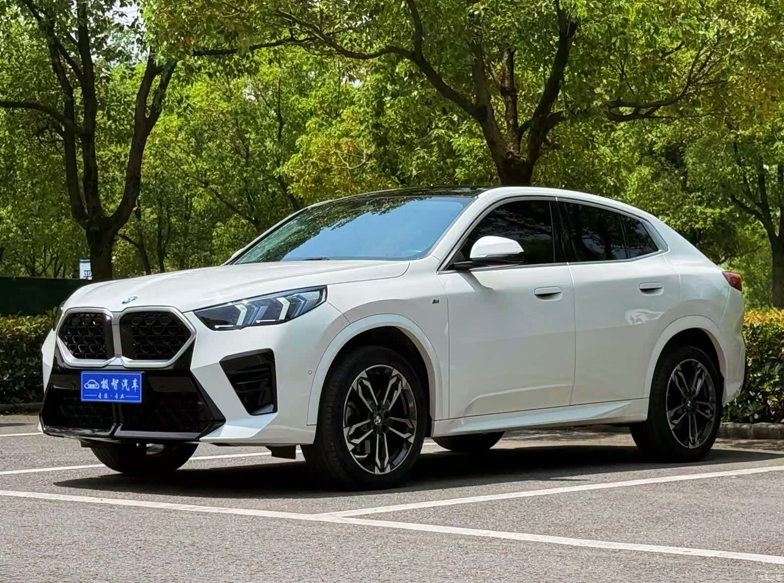 BMW X2, 2024 1