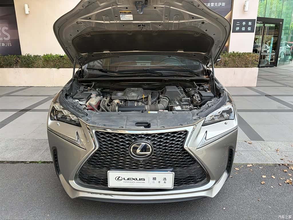 Lexus NX, 2015 6