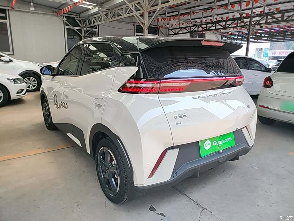 BYD Seagull, 2024 все фото