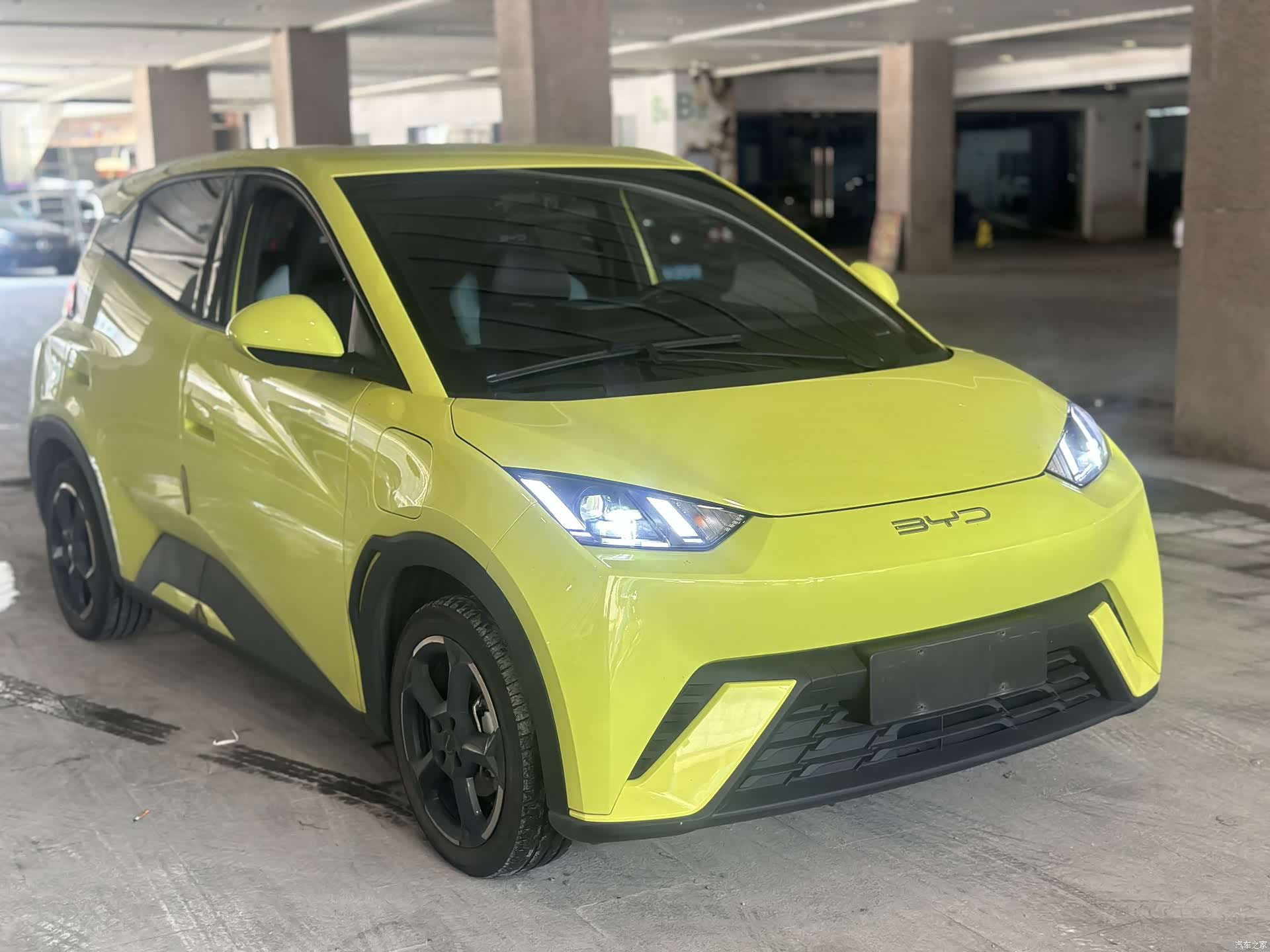 BYD Seagull, 2023 3