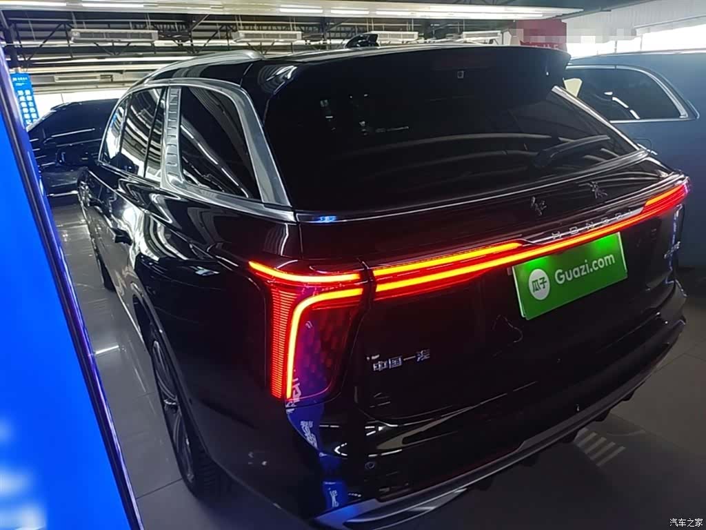 Hongqi E-HS9, 2023 все фото