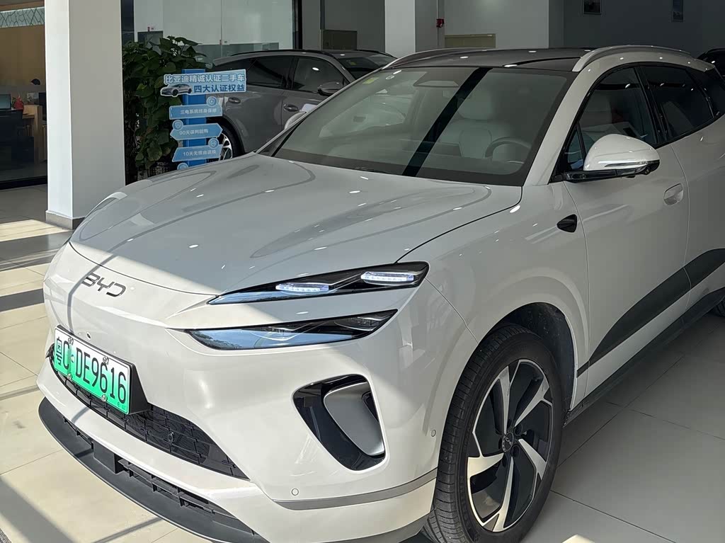 BYD 06