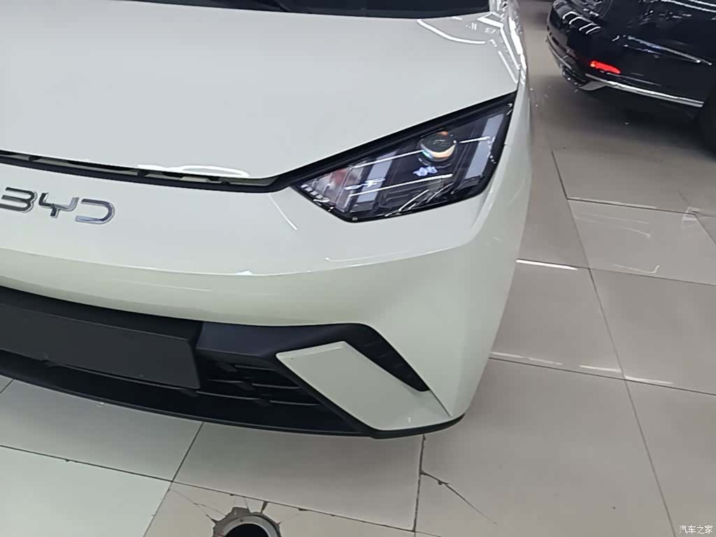 BYD Seagull, 2024 24