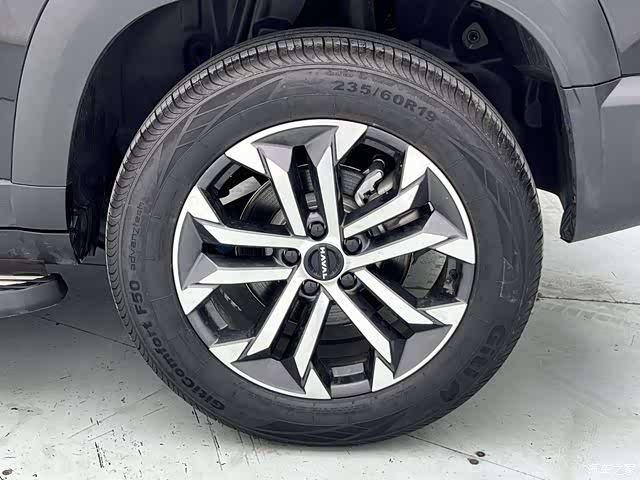 Haval Big Dog, 2025 20