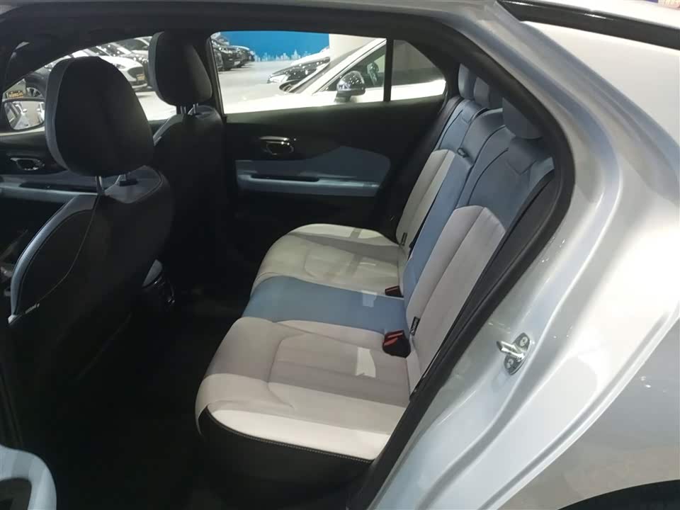 Trumpchi Shadow Leopard