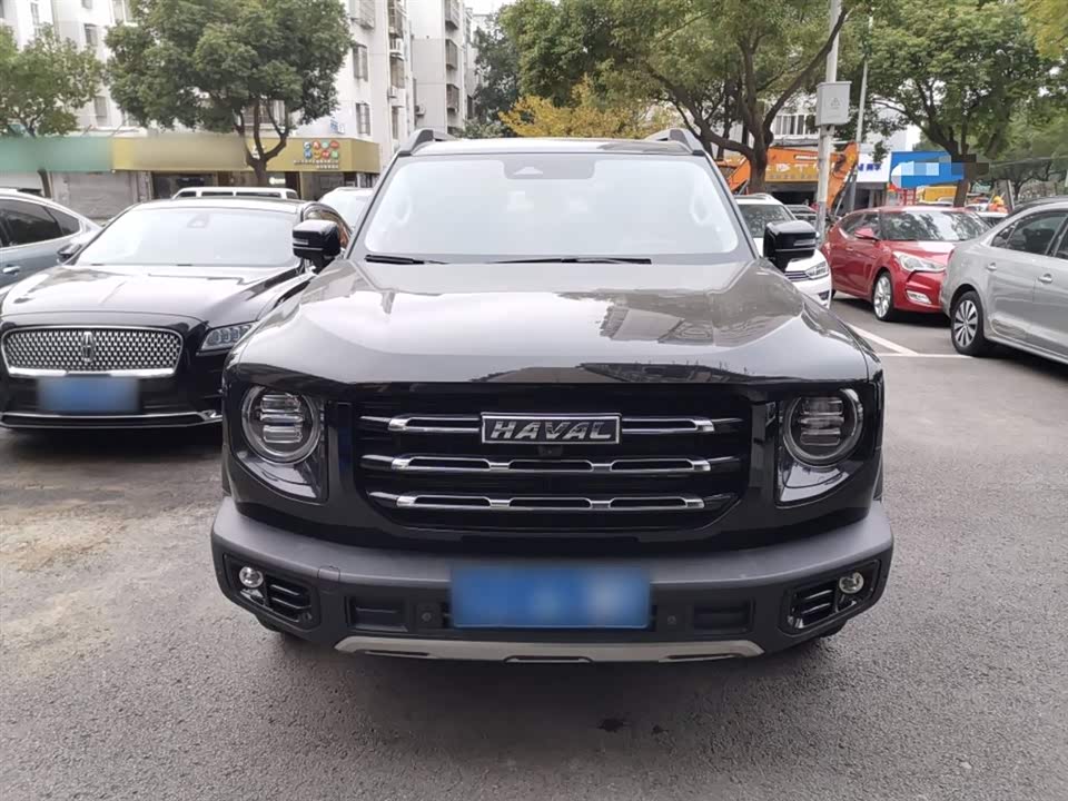 Haval Big dog