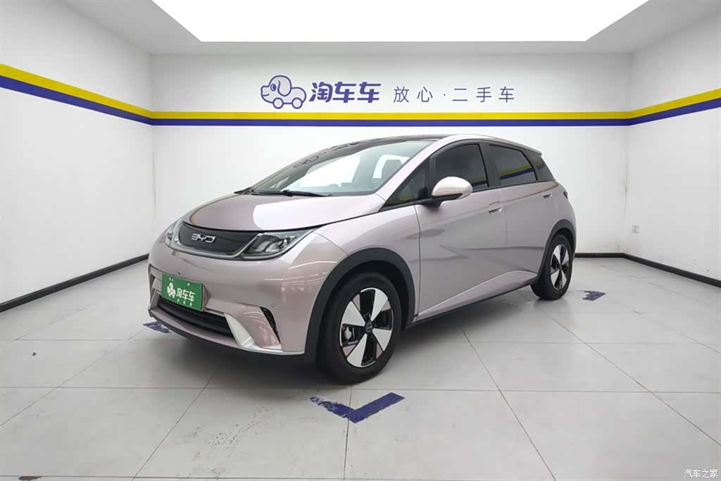 BYD Dolphin, 2024 1