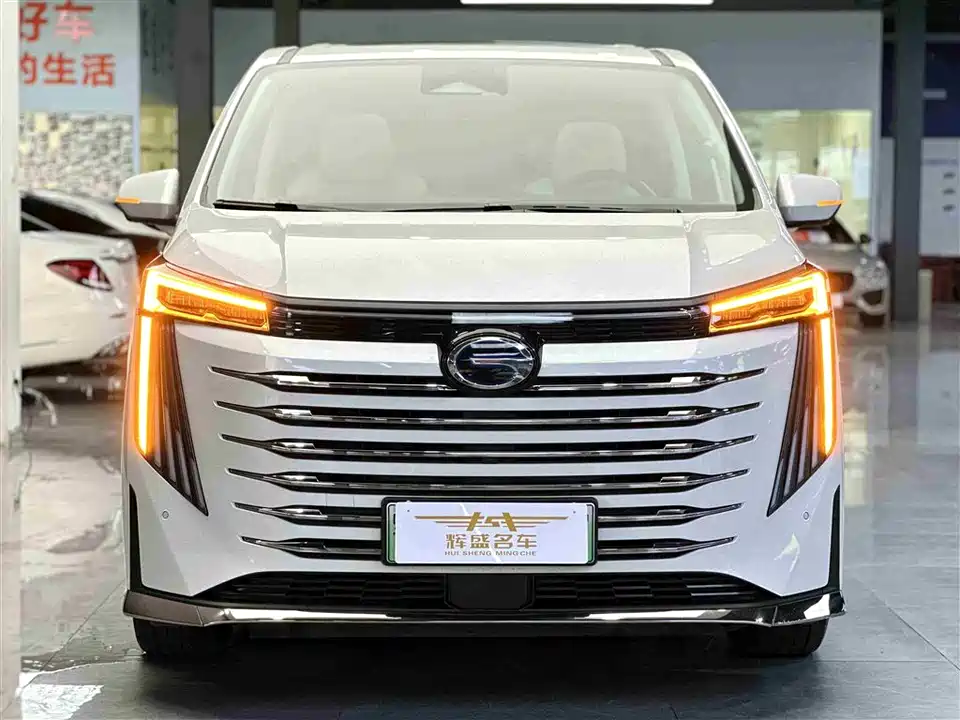 Trumpchi Trumpchi E9