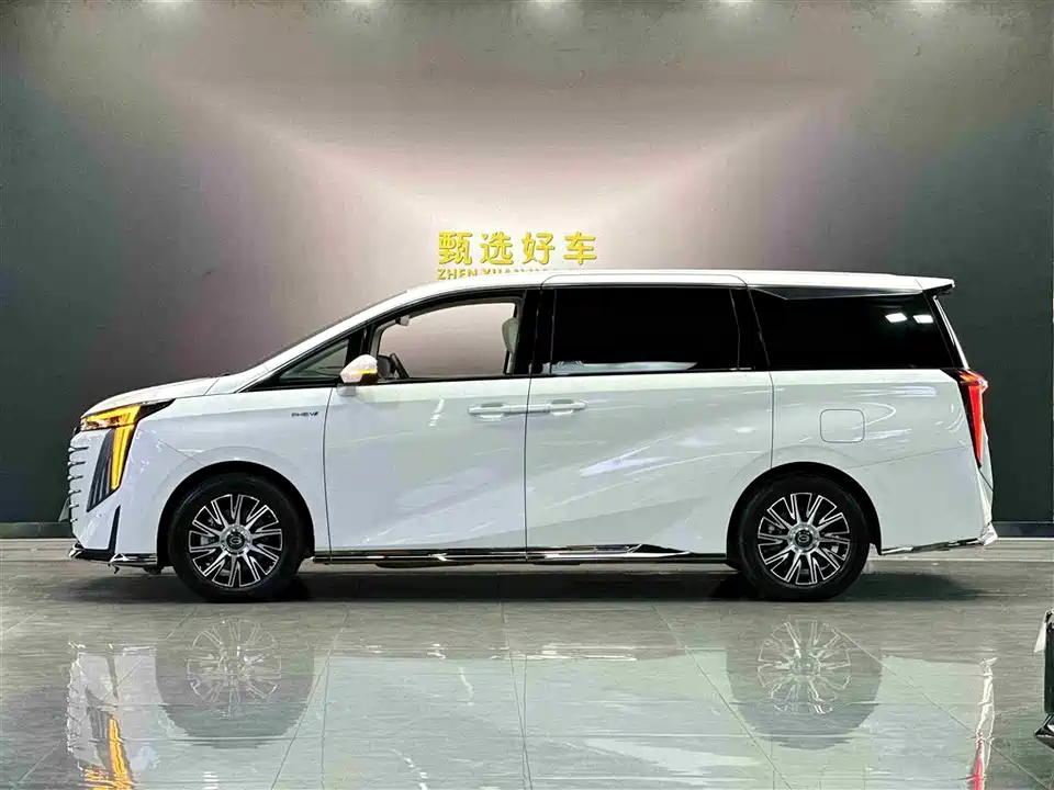 Trumpchi Trumpchi E9