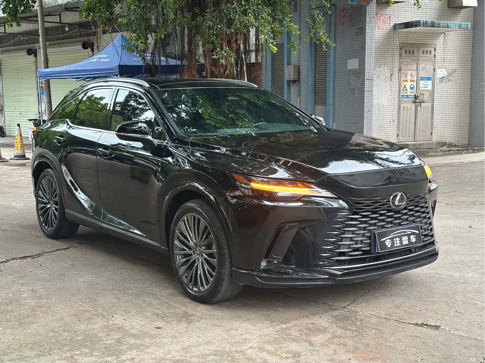 Lexus RX, 2025 3