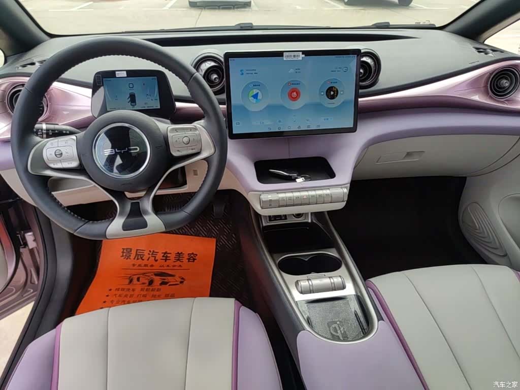 BYD Dolphin, 2022 13