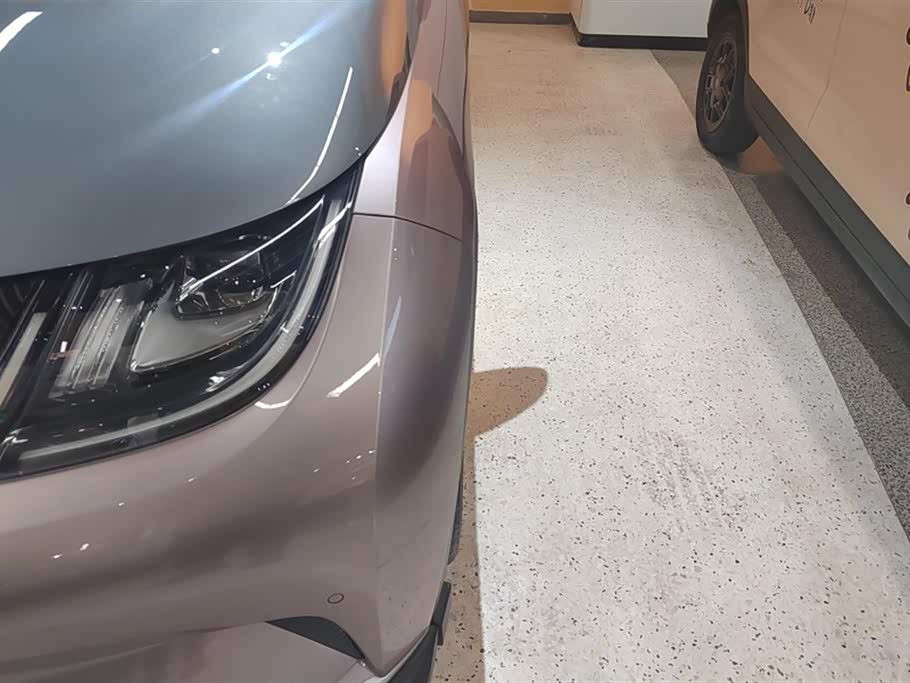 BYD dolphin