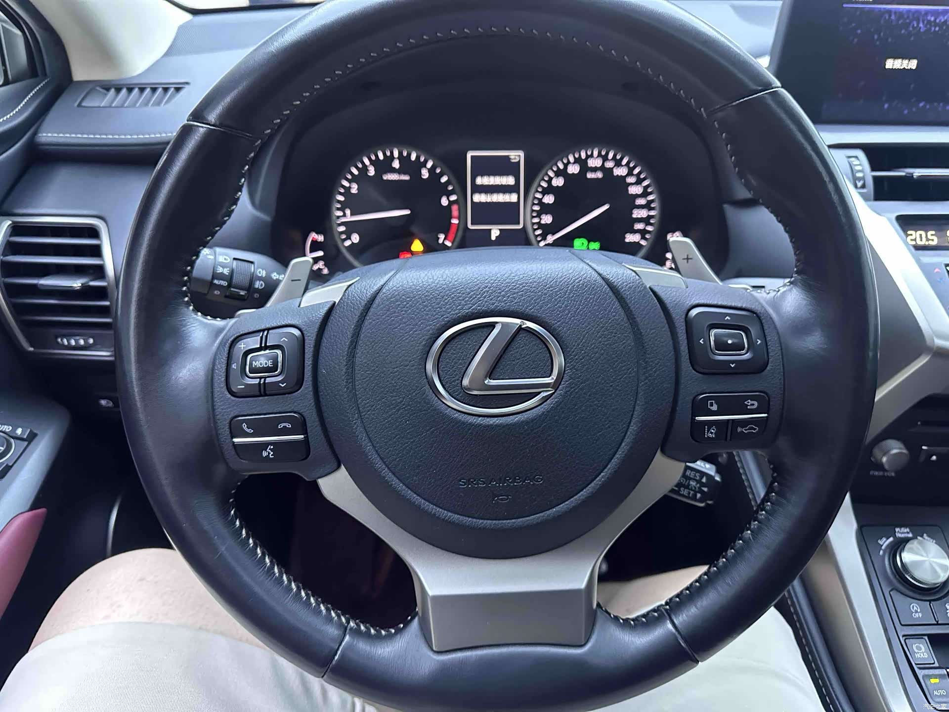 Lexus NX, 2021 12