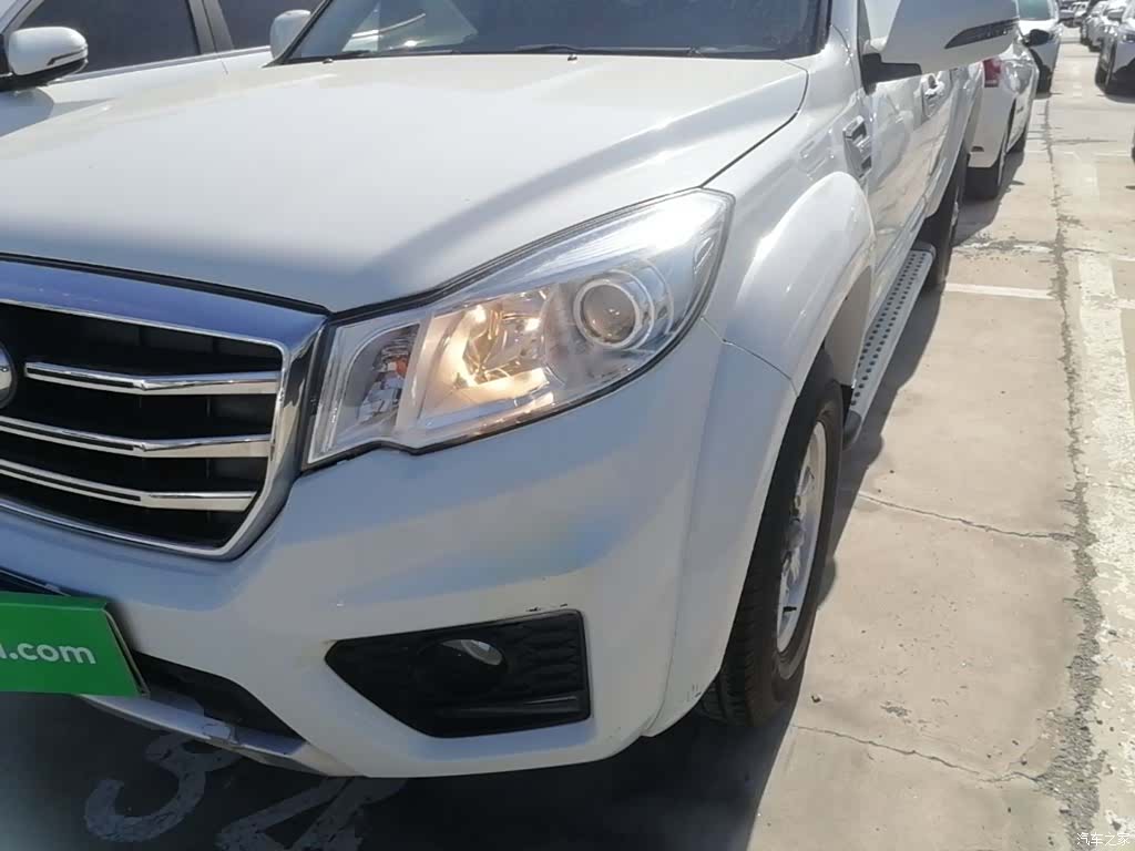 Great Wall G69, 2018 24