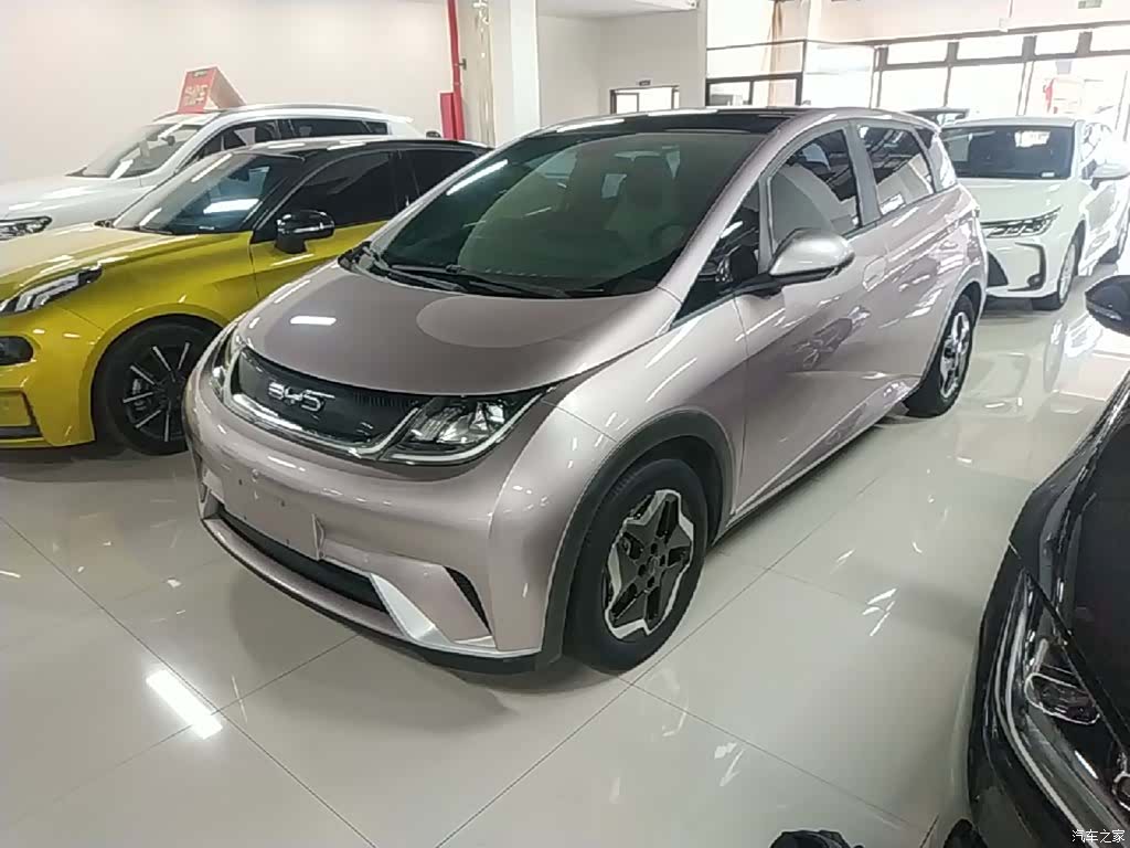 BYD Dolphin, 2022 1