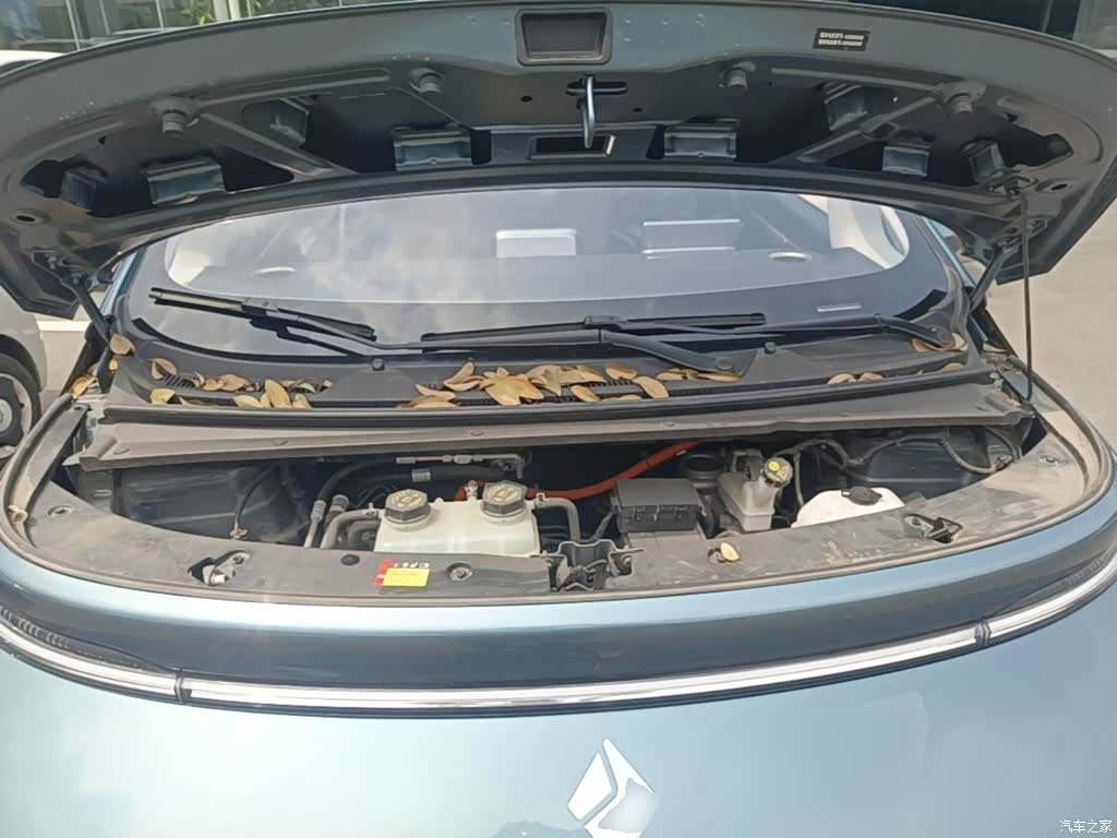 Wuling 460, 2024 20