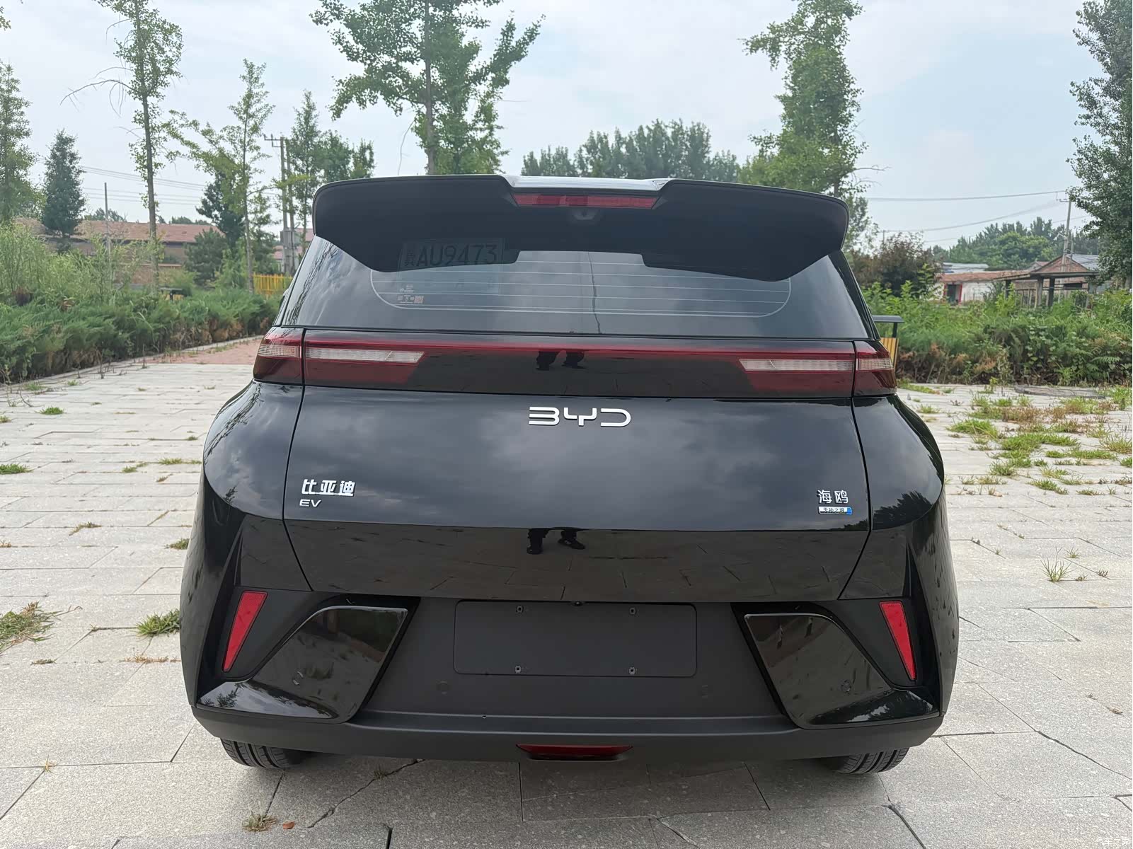 BYD Seagull, 2025 6
