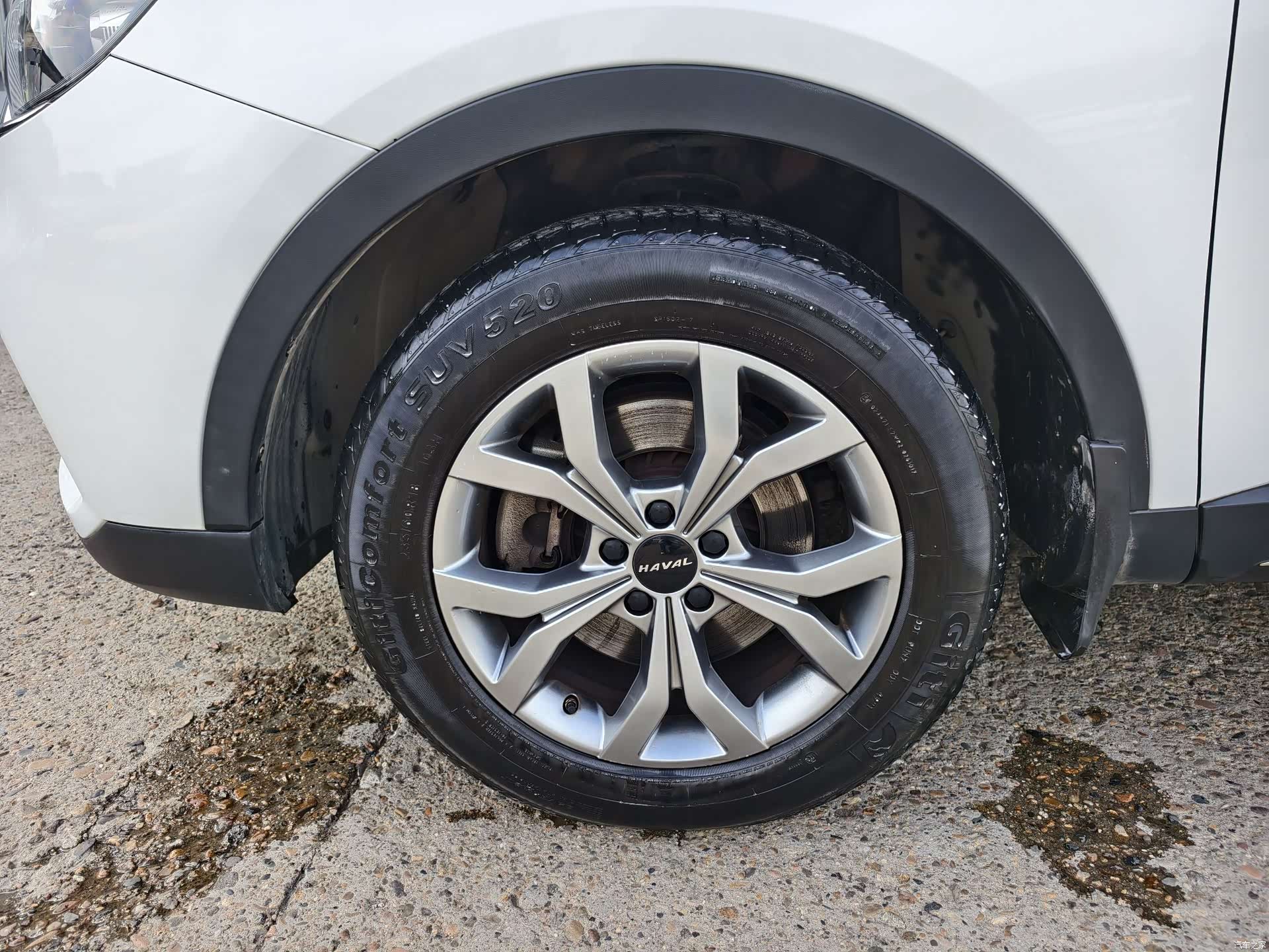Haval H6, 2022 все фото