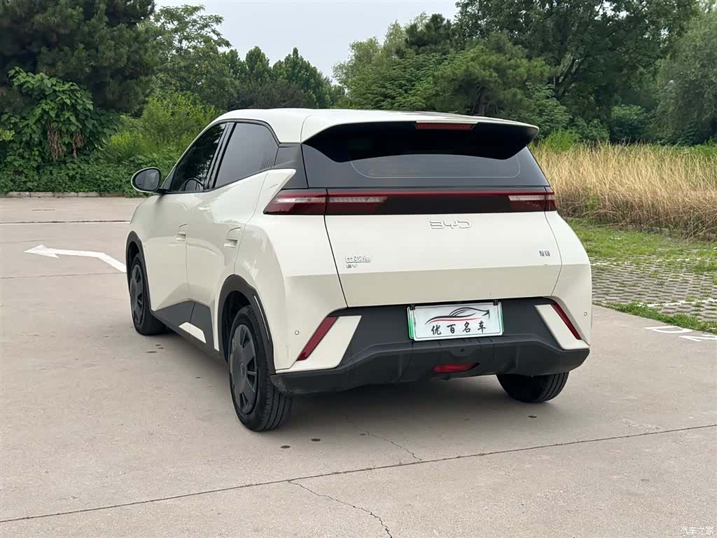 BYD Seagull, 2024 4