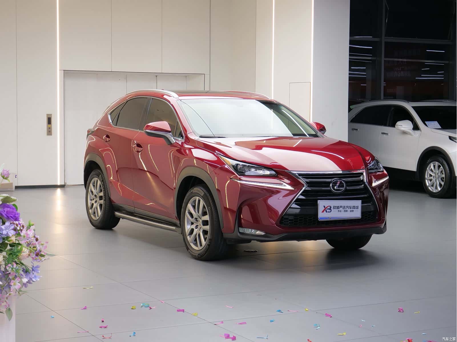 Lexus NX, 2016 3