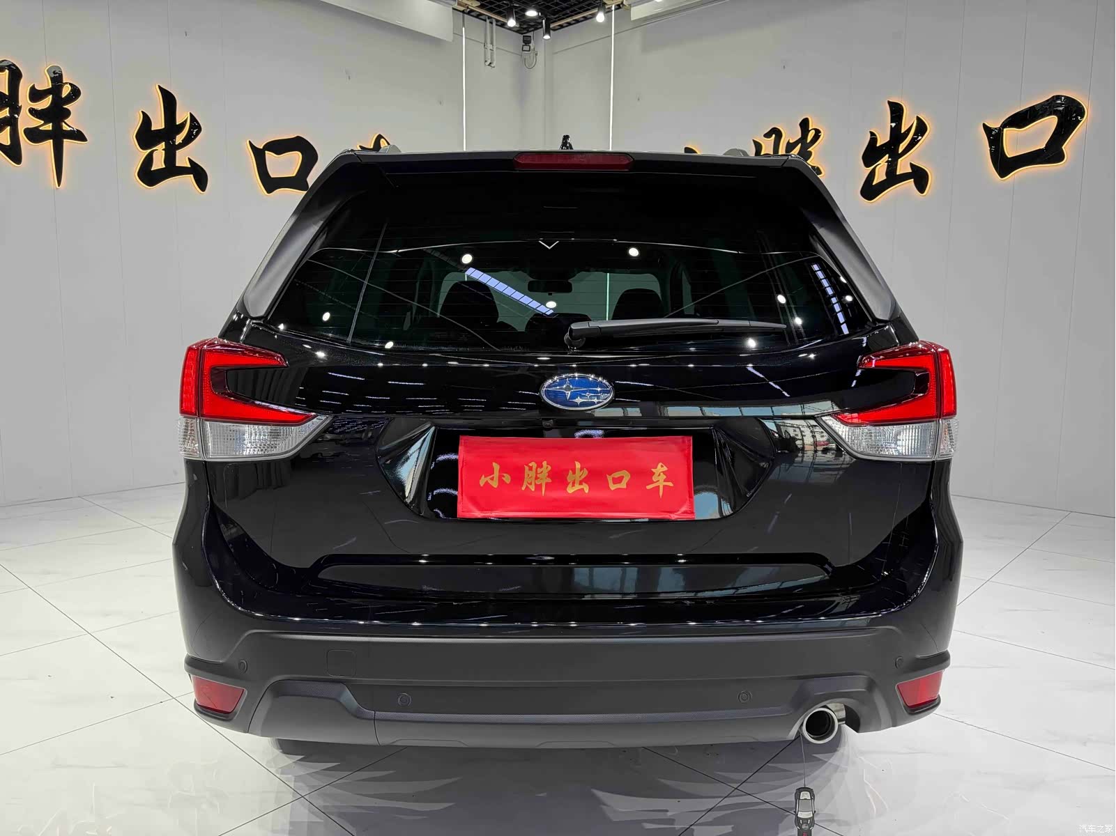 Subaru Forester, 2024 все фото