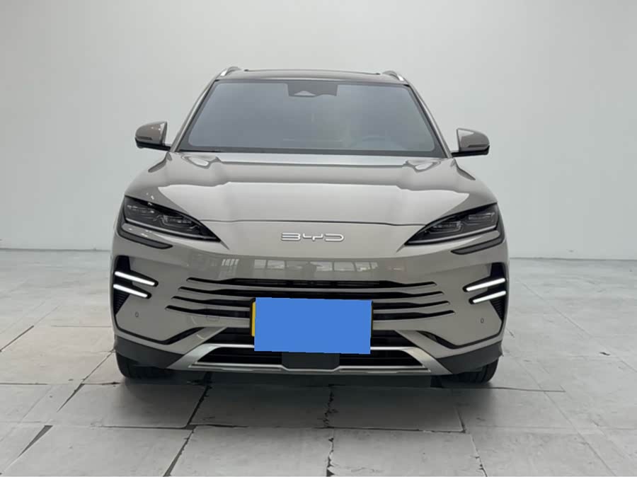BYD Song PLUS New Energy 2024, фото 2