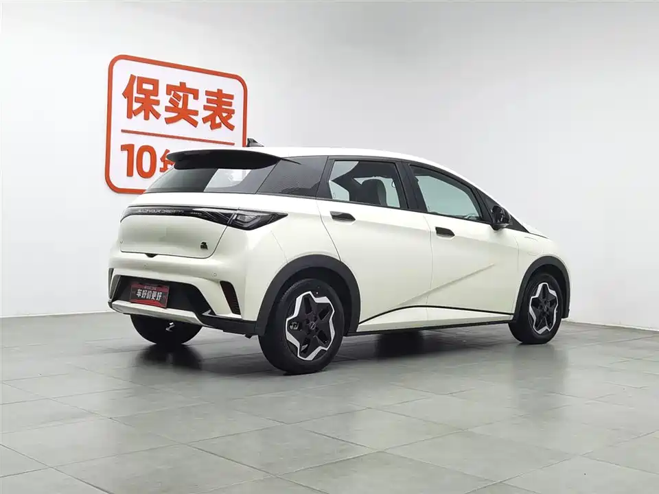 BYD dolphin