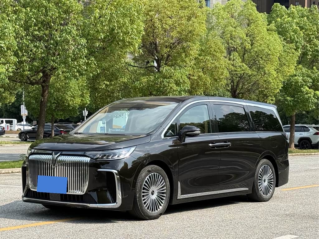 Voyah 2025 PHEV Flagship