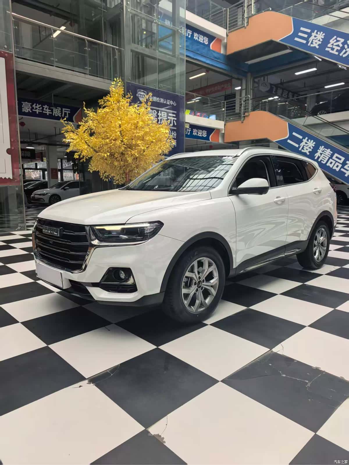 Haval H6, 2023 1