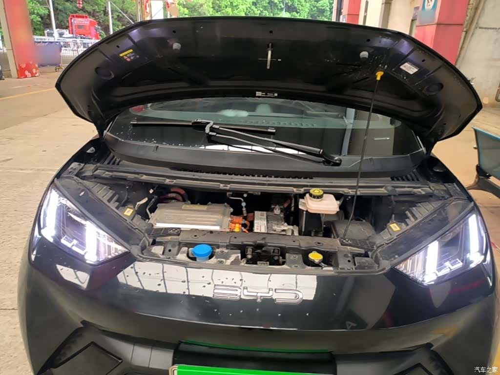 BYD Seagull, 2024 20