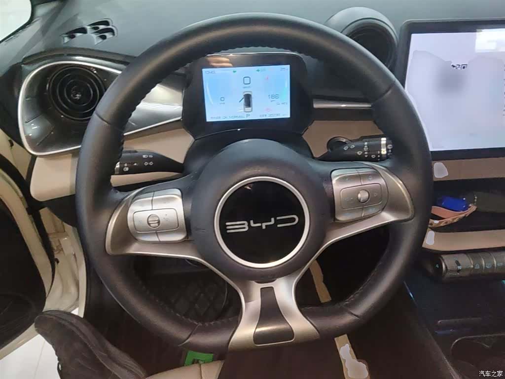 BYD Dolphin, 2024 11