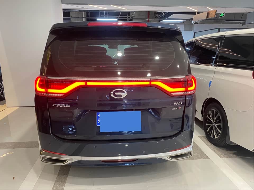 Trumpchi Trumpchi M8