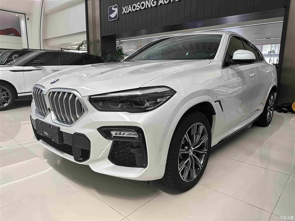 BMW X6, 2021 1