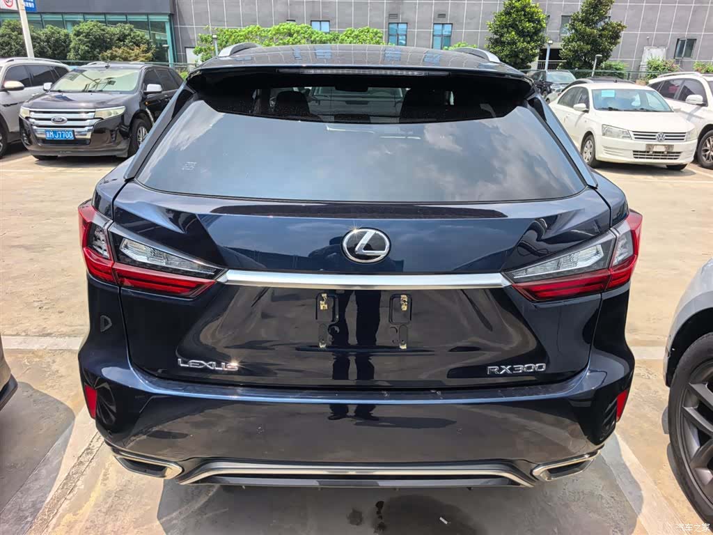 Lexus RX, 2018 все фото