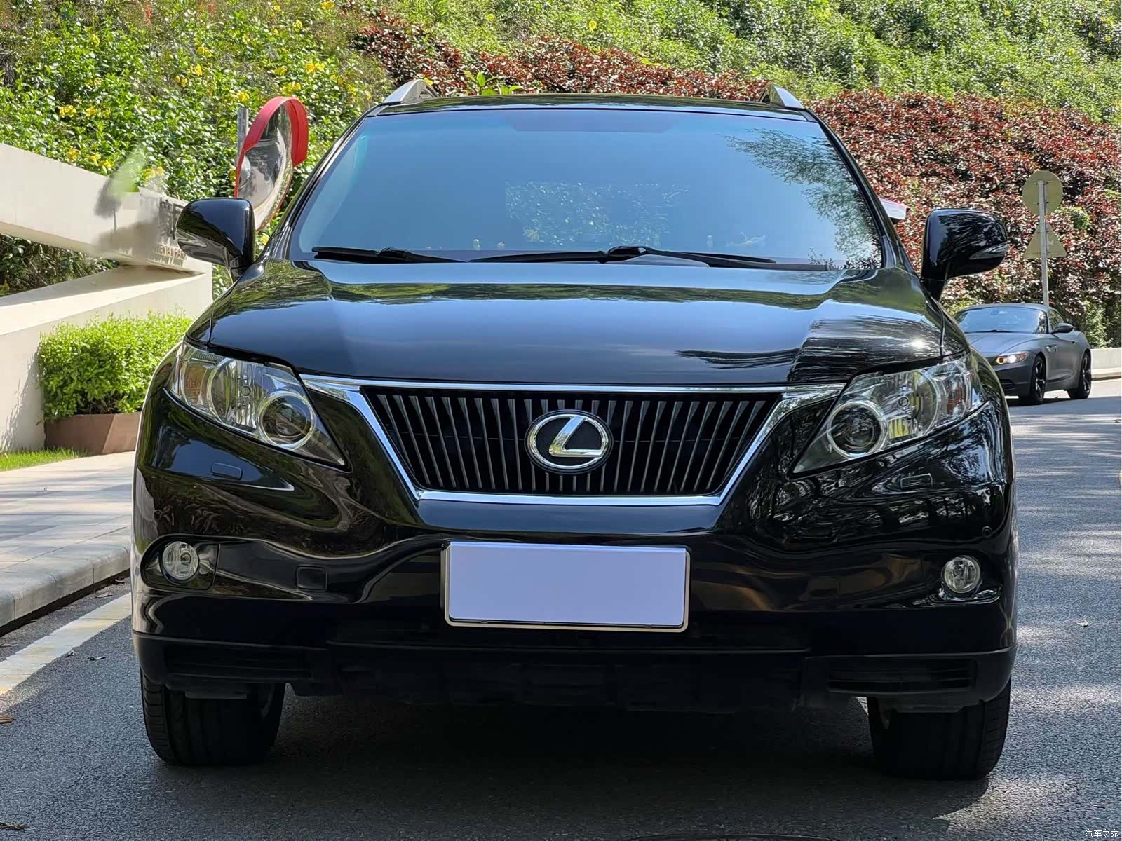 Lexus RX, 2010 2