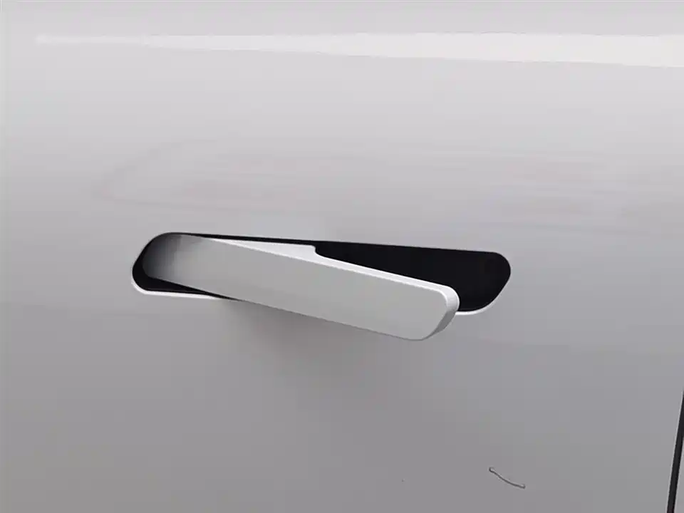 ARCFOX Polar fox koala