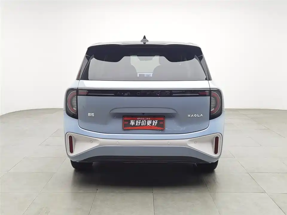 ARCFOX Polar fox koala