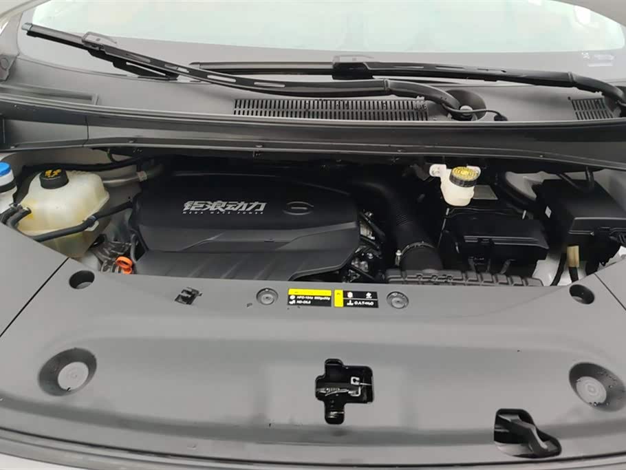 Trumpchi Trumpchi M8